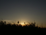 PC080180.JPG