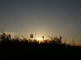 PC080181.JPG