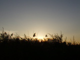 PC080182.JPG