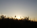 PC080183.JPG