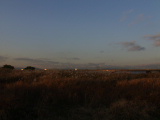 PC080189.JPG