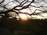 PC090274.JPG