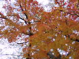 PC090283.JPG