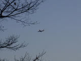 PC090291.JPG