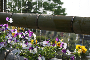 ����ʴ���