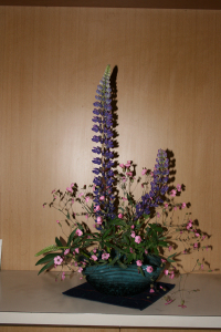 �����֡�